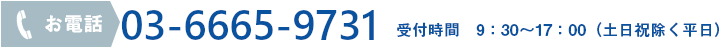 お電話:03-6665-9731 受付時間　9：30～17：00（土日祝除く平日）